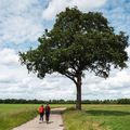 Landgoed de Huynen