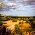 Orris camp