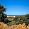 Orris camp