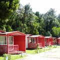 Camping Caminha