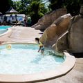Camping maeva Escapades l'Arbre d'Or 