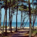 Camping du Petit Pont