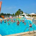 Camping L'Etang des Forges