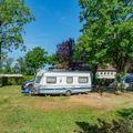 Camping L'Île du Rhin