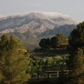 Camping Terra Alta