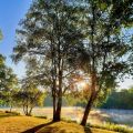 Camping Grand Etang de Saint-Estèphe