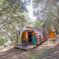 Flower Camping Torraccia