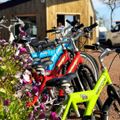Camping Ostrea