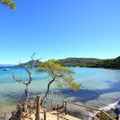 Camping L'Ile d'Or