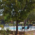 Camping E Canicce