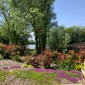 Natura Resort Pescalis