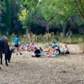 Camping Malolya