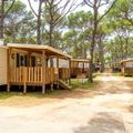 Camping Neptuno 