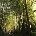 Camping des Abesses
