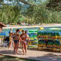 Camping du Lac de Moselotte