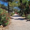Flower Camping Orly d'Azur