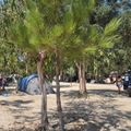 Camping Des Nacres