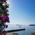 Camping Punta Navaccia 