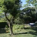 Camping Les Chênes