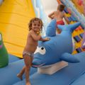 Flower Camping Altea
