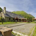  Flower Camping Pyrenees Natura
