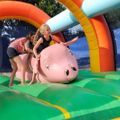 Camping La Ferme de Lann Hoëdic