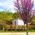 Flower Camping La Beaume