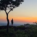 Camping les Terrasses Provençales