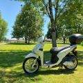 Camping de l'Arquebuse