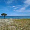Camping Le Soleil Levant