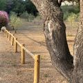 Camping Clos Des Chenes