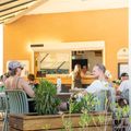 Camping de Montolieu