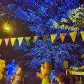 Camping Le Bois Flottant