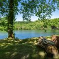 Camping L'Etang d'Ardy
