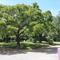 Camping Le Garanel