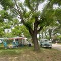 Camping Le Garanel
