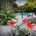 Camping la Salendrinque