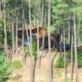 Camping La Forêt