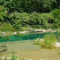 Le Camp