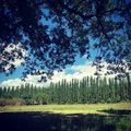 Camping Le Mas De Rome
