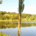 Camping du Lac de Parisot