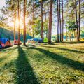 Le Petit Bois 46 - Village de gites et Camping