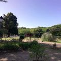 Camping Domaine De Lascaux