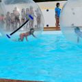 Flower Camping Le Pre Des Sables