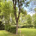Camping Municipal La Petite Boulogne