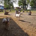 Camping Couleurs du Monde