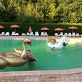 Camping les Lupins