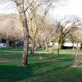 Camping Masevaux