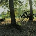 Camping Le Port