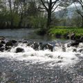 Camping Le Pont De Maxonchamp